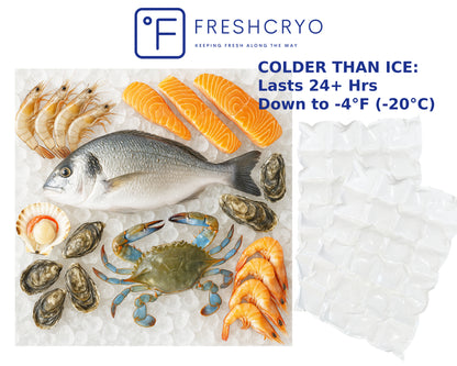 2-Ply, 24-Cube Ice Pack, 1 Sheet